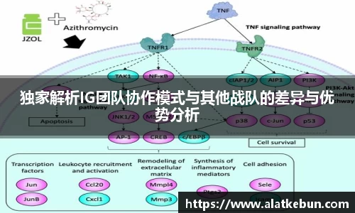 独家解析IG团队协作模式与其他战队的差异与优势分析